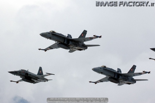 2007-03-24 Meiringen Airshow 0694 FA-18C Hornet e F-5E Tiger II
